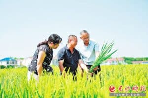 从农田到堤坝，从呼声到掌声｜乡村振兴·法治同行